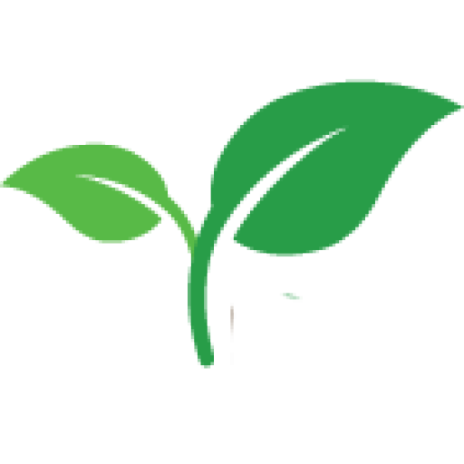 Tüm Fide Çeşitleri